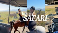 SAFARI VLOG: horse back riding, South Africa game reserve