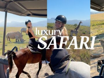 SAFARI VLOG: horse back riding, South Africa game reserve