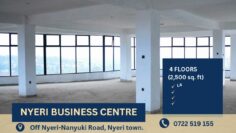Nyeri Business Centre for Sale – Prime Commercial Property in Nyeri CBD